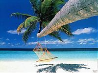 TopRq.com search results: Bora Bora, Society Islands, French Polynesia, Pacific Ocean