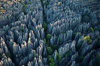 TopRq.com search results: Tsingy de Bemaraha, Melaky Region, Madagascar