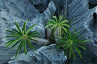 World & Travel: Tsingy de Bemaraha, Melaky Region, Madagascar