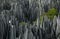 TopRq.com search results: Tsingy de Bemaraha, Melaky Region, Madagascar