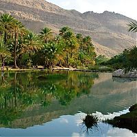 TopRq.com search results: Salalah, Dhofar province, Oman