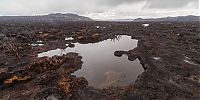 World & Travel: Tasmania island fire, Commonwealth of Australia, South Pacific Ocean