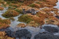 World & Travel: Tasmania island fire, Commonwealth of Australia, South Pacific Ocean