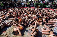 World & Travel: Protest against bull fighting, Madrid, Spain