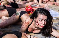 World & Travel: Protest against bull fighting, Madrid, Spain