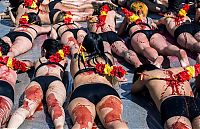 World & Travel: Protest against bull fighting, Madrid, Spain