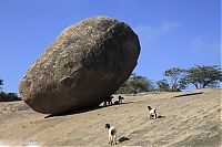 TopRq.com search results: Butterball of Lord Krishna, Mahabalipuram, Kancheepuram, Tamil Nadu, India