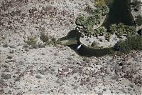 TopRq.com search results: California drought since 2010, California, United States