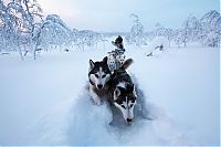 World & Travel: Arctic region, North Pole, Arctic