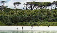 TopRq.com search results: Sentineli, North Sentinel Island, Andaman Islands, Bay of Bengal, Indian Ocean