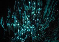 World & Travel: Waitomo Glowworm Caves, Waitomo, North Island, New Zealand