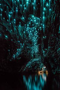 World & Travel: Waitomo Glowworm Caves, Waitomo, North Island, New Zealand