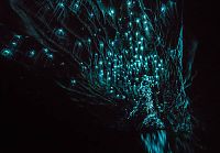 World & Travel: Waitomo Glowworm Caves, Waitomo, North Island, New Zealand