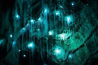 World & Travel: Waitomo Glowworm Caves, Waitomo, North Island, New Zealand