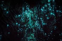 TopRq.com search results: Waitomo Glowworm Caves, Waitomo, North Island, New Zealand