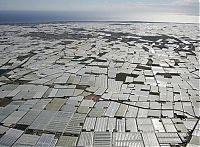 TopRq.com search results: Greenhouse structures, Almería, Andalucía, Spain