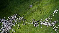 TopRq.com search results: bird's-eye view aerial landscape photography