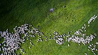 World & Travel: bird's-eye view aerial landscape photography