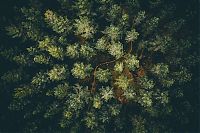 bird's-eye view aerial landscape photography