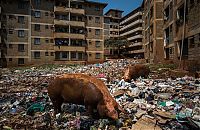 World & Travel: Kibera urban slum, Nairobi, Kenya