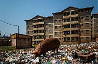 TopRq.com search results: Kibera urban slum, Nairobi, Kenya