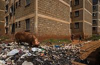 Kibera urban slum, Nairobi, Kenya