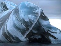 TopRq.com search results: iceberg