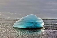 TopRq.com search results: iceberg