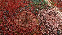 TopRq.com search results: Castell, human tower, Catalonia, Spain