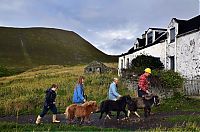 TopRq.com search results: Foula, Shetland Islands, Scotland
