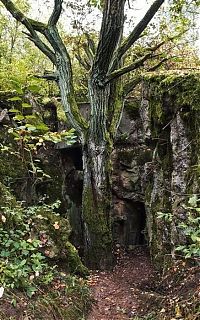 World & Travel: Camp Earthworm, Regenwurmlager, Międzyrzecz, Poland