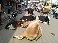 World & Travel: Varanasi, Uttar Pradesh, North India