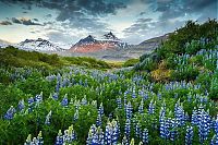 TopRq.com search results: Iceland